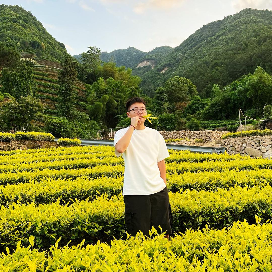 小蔡茶叶CAI（2025茉莉花茶来了）