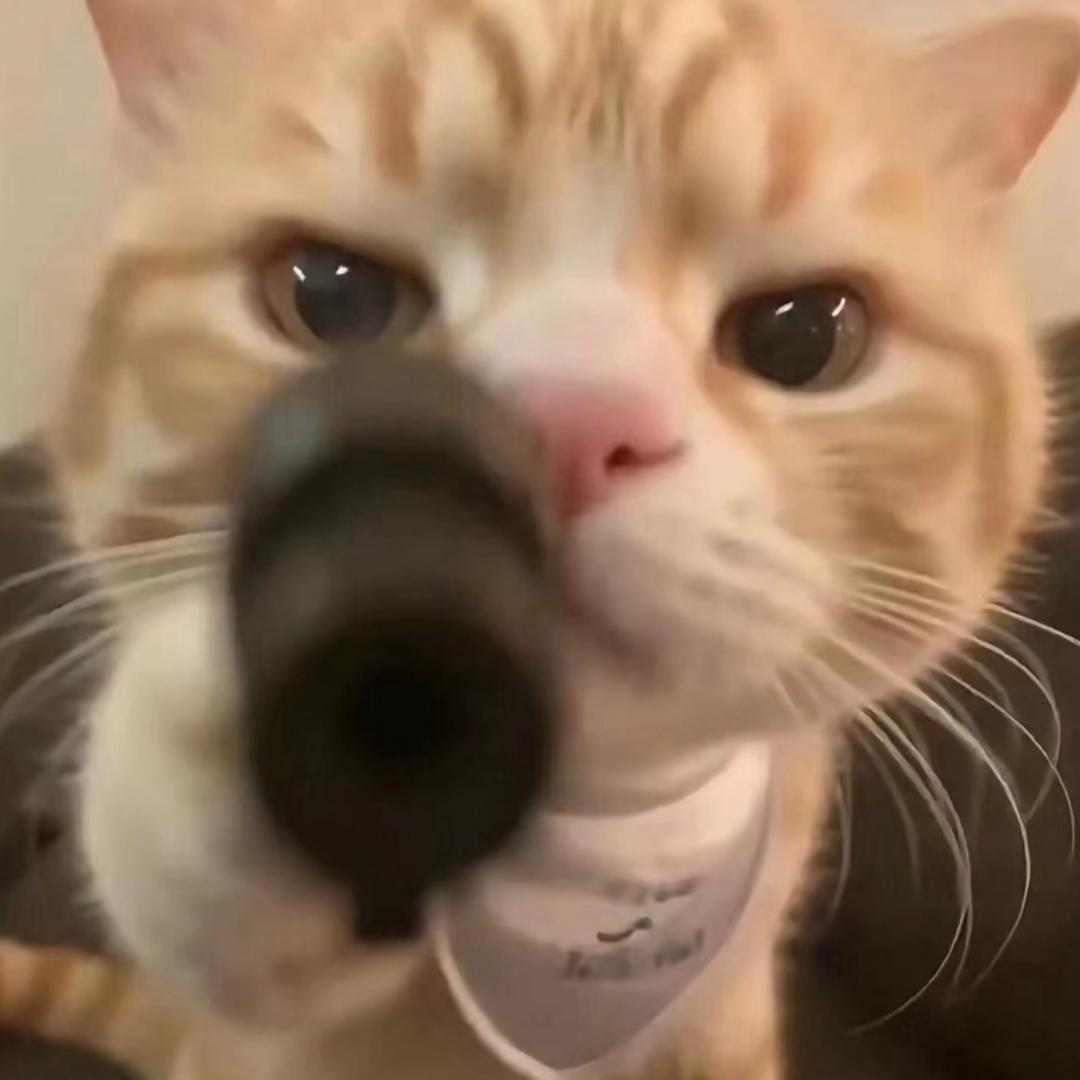 苦欧
