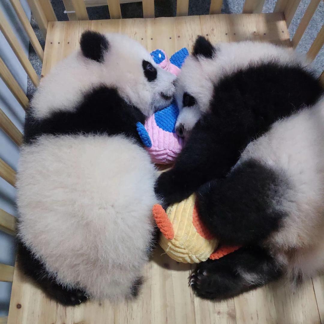 🌈记事本🗒️