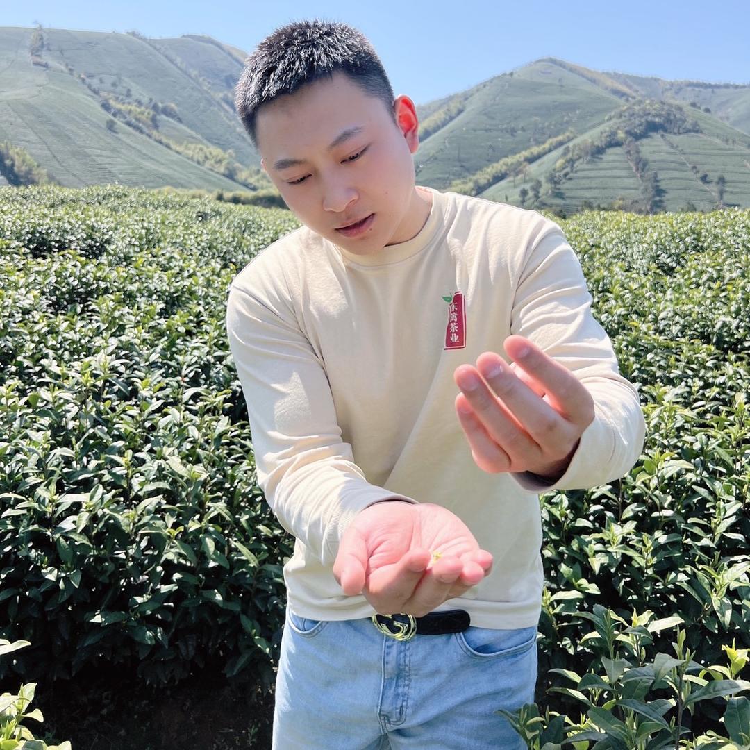 福来茶庄一赵来福（源头好茶）