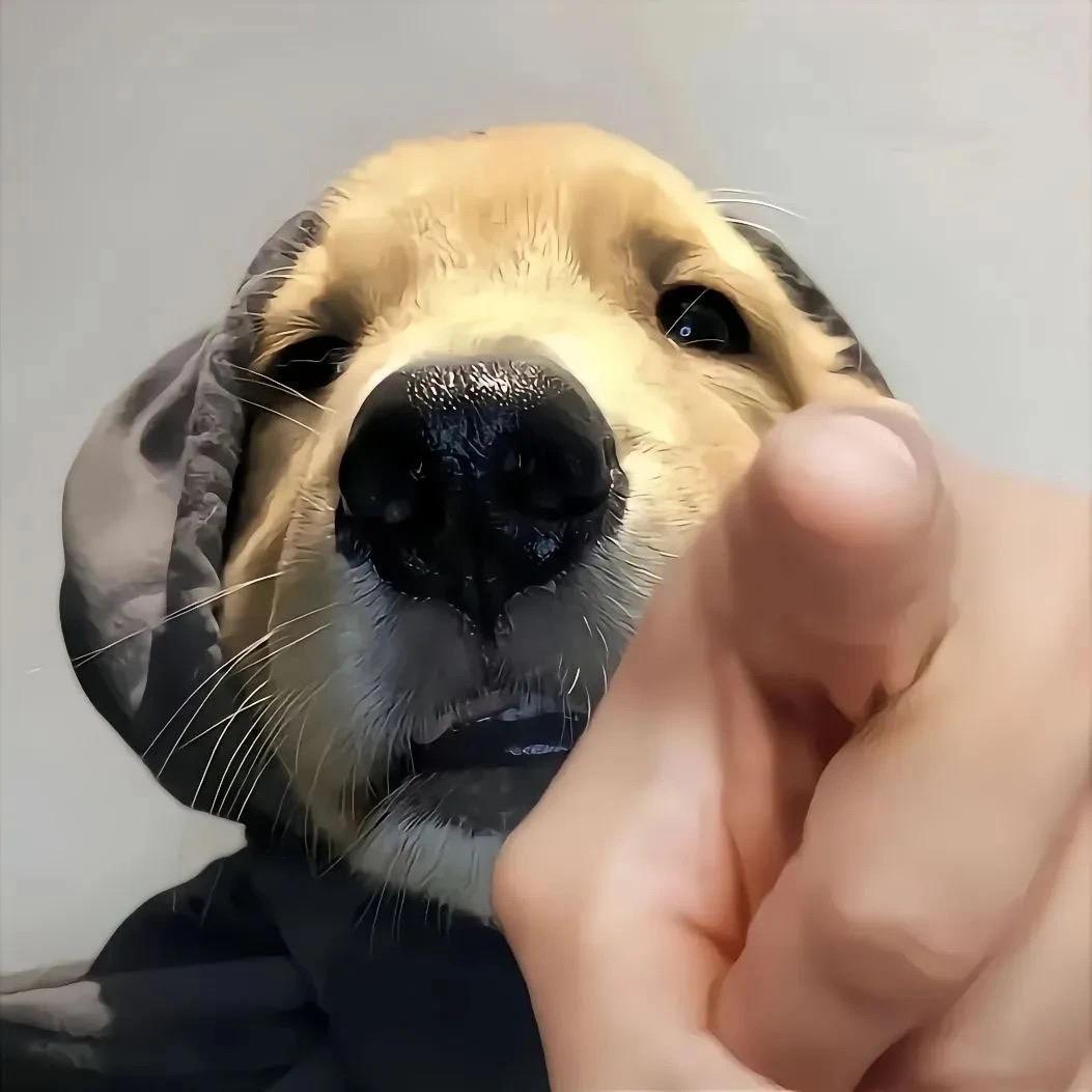 洋芋王国国王🤴🏻