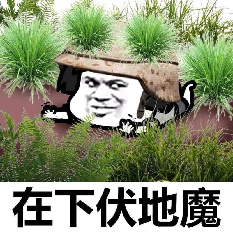 和平精英0KD苟分教学