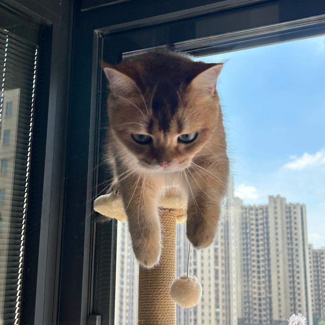 举个栗子~