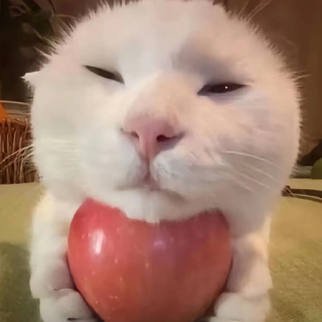 $_$