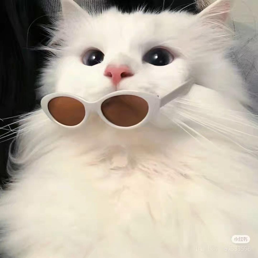 昭昭...
