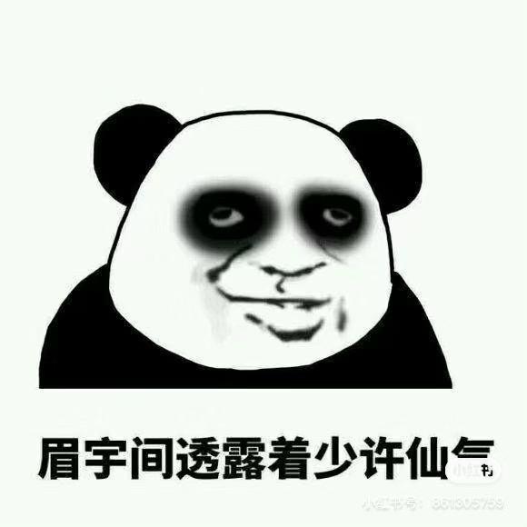 青云之上-可可