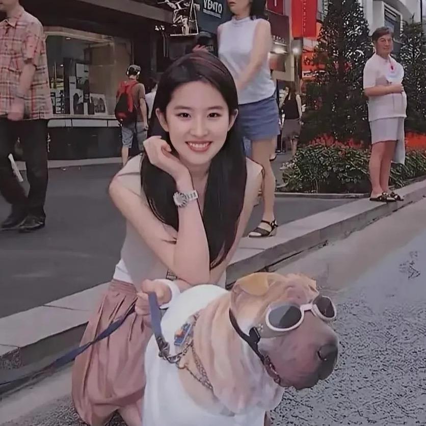 魔法少女锅德纲