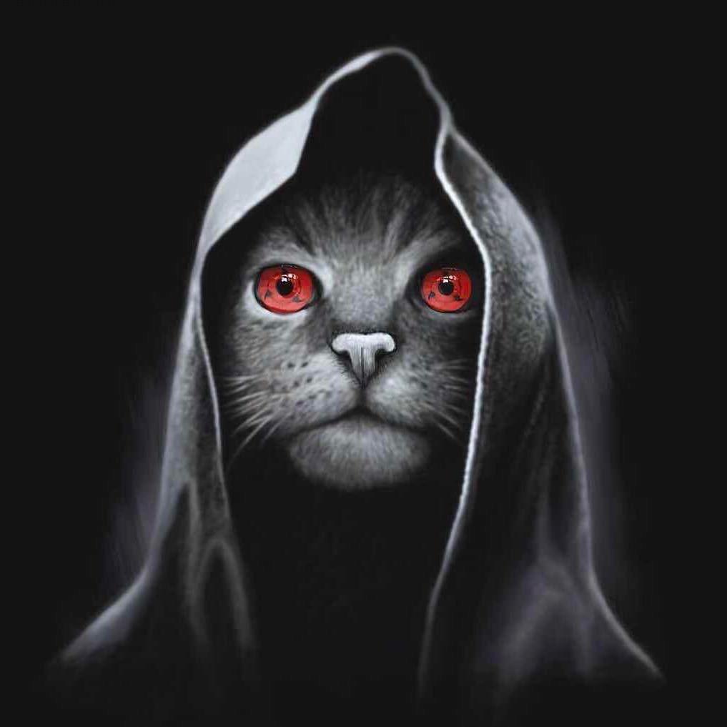 ____________________