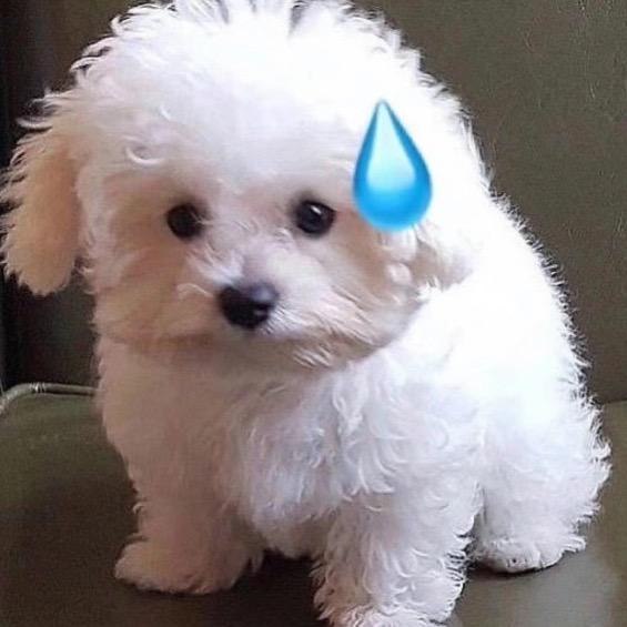 舌尖上的南平🐳