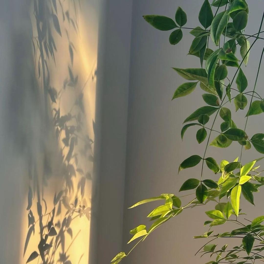 凌晨的🌧️滴滴滴