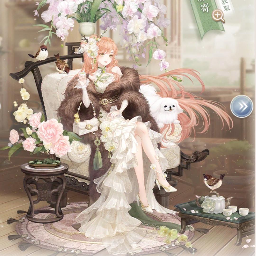 呆呆鸟大战黑熊怪