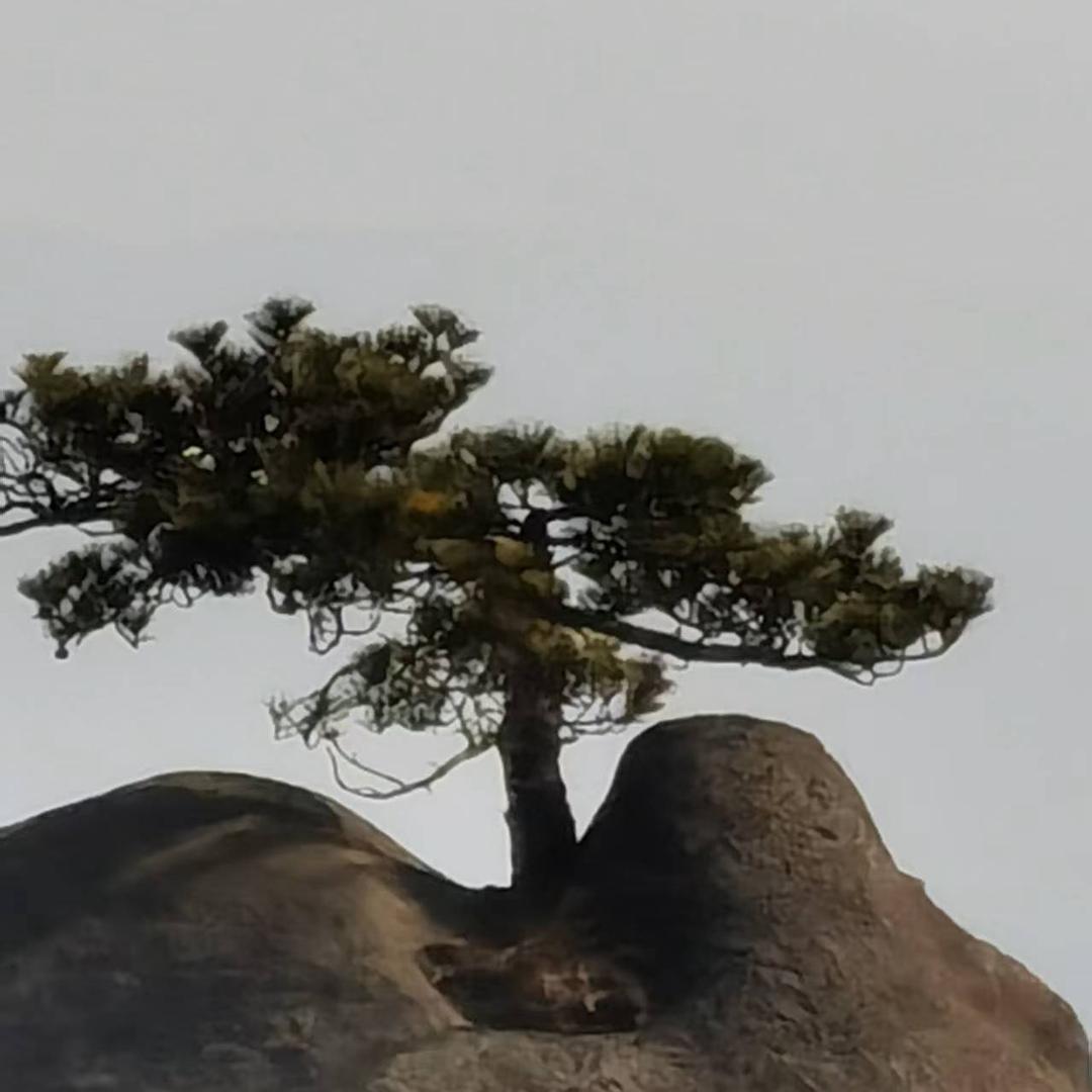 漂漂