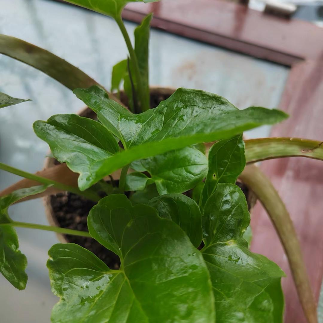 小七助理云浩文化传媒