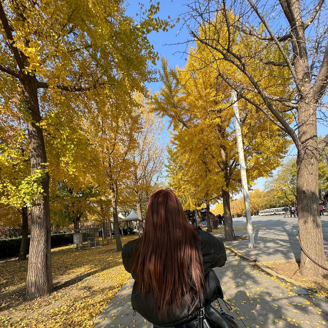 车厘子🍒