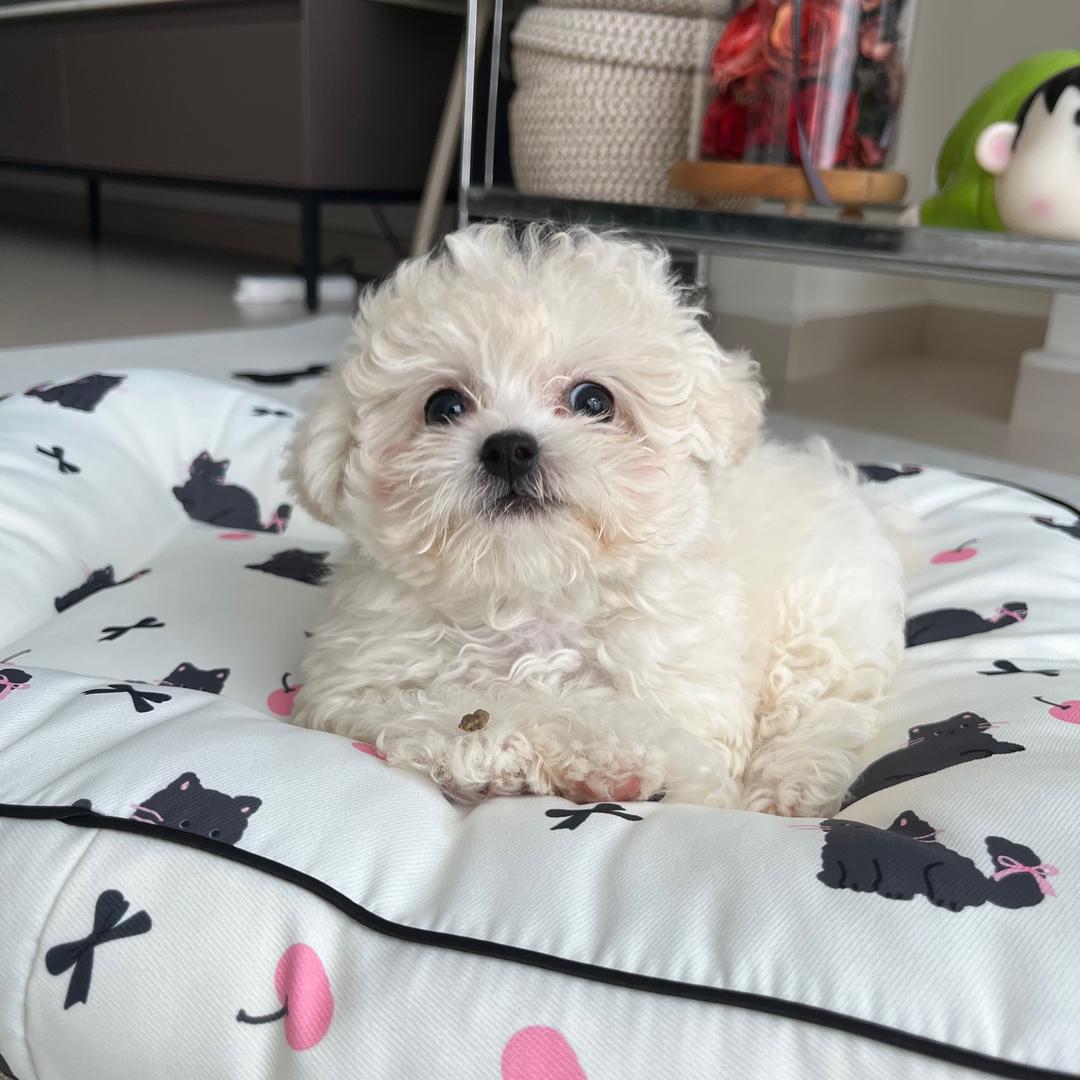 是晓宇耶