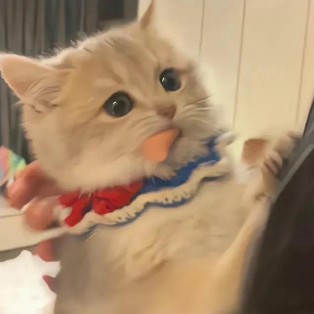 金豆子～