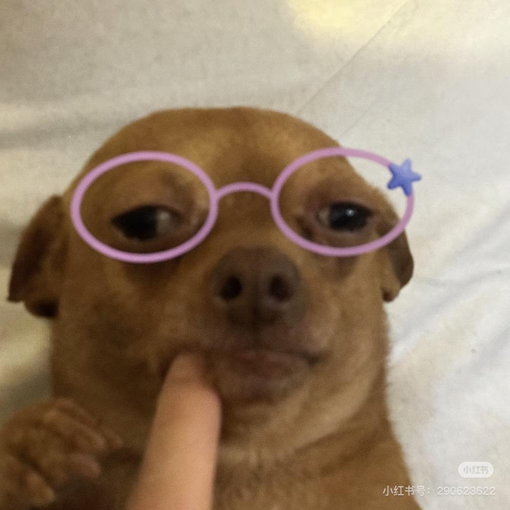 玉米常
