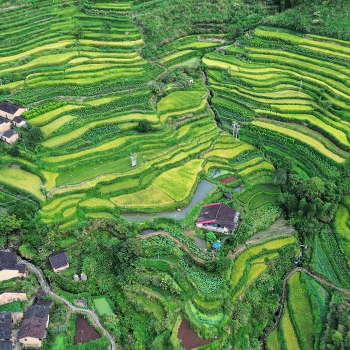 阿汤哥和他的朋友们有限公司