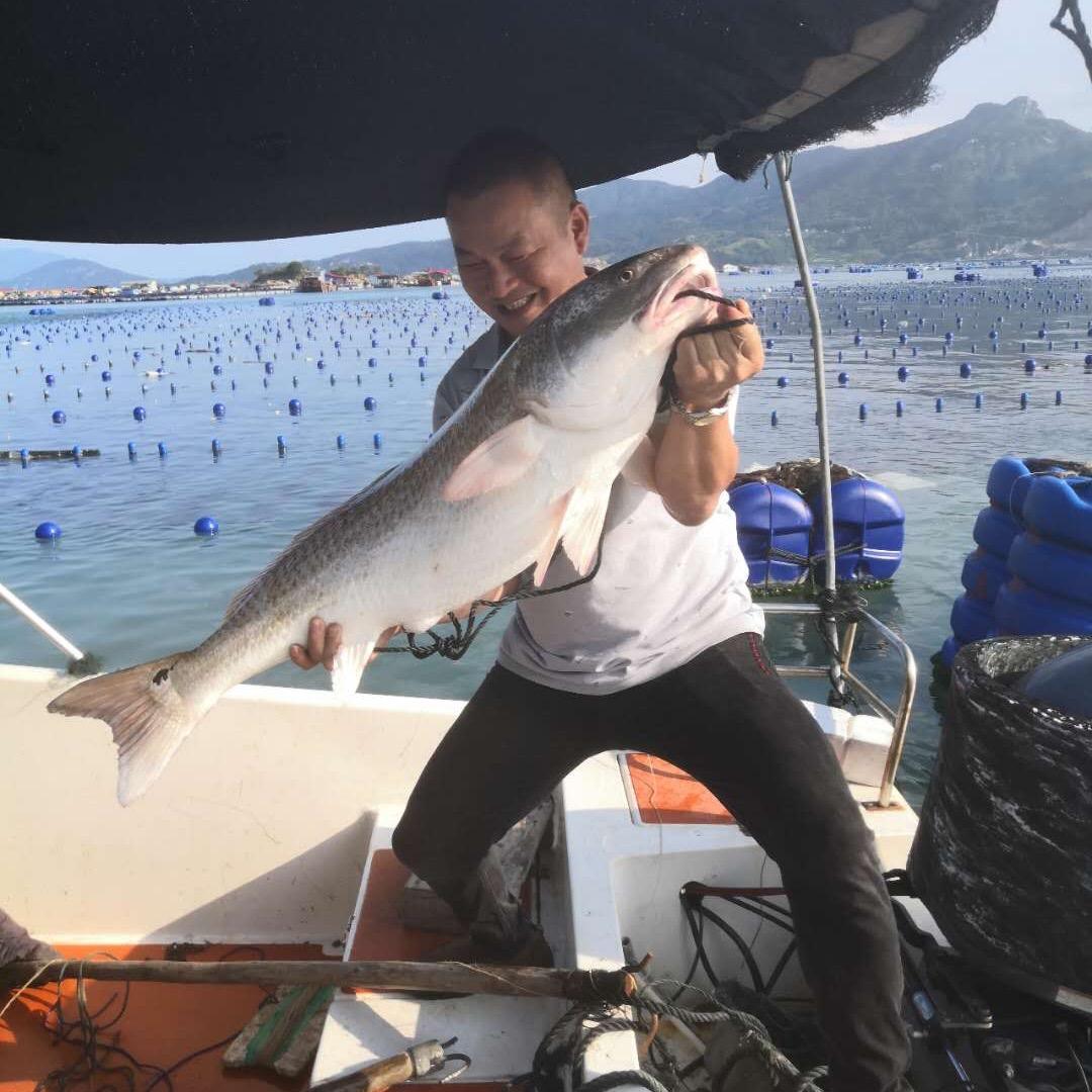 三都澳阿亮海鲜