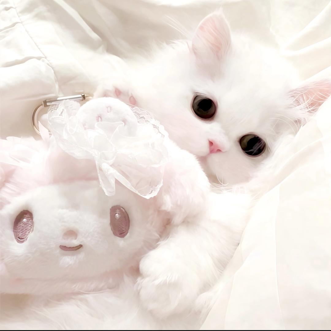 我的世界下小雨