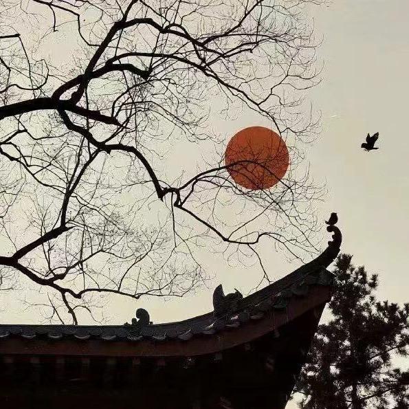 郝善良
