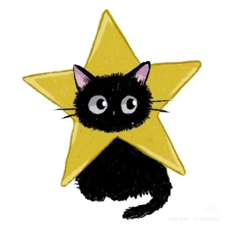 🌈五彩斑斓的黑