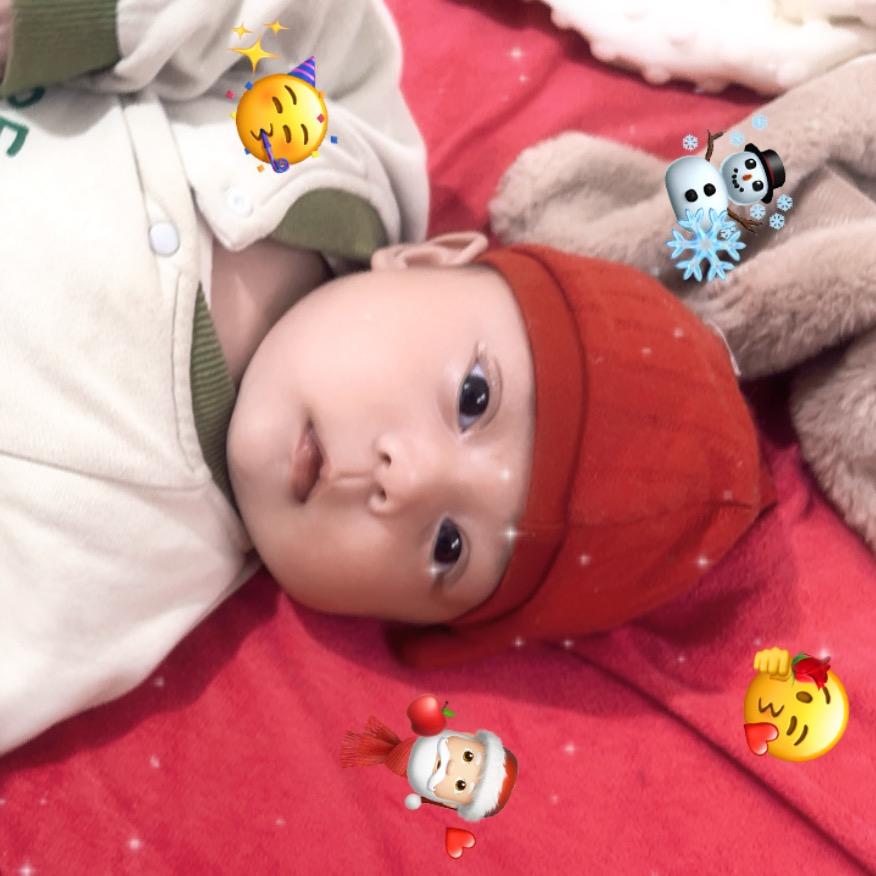 小李不讲李