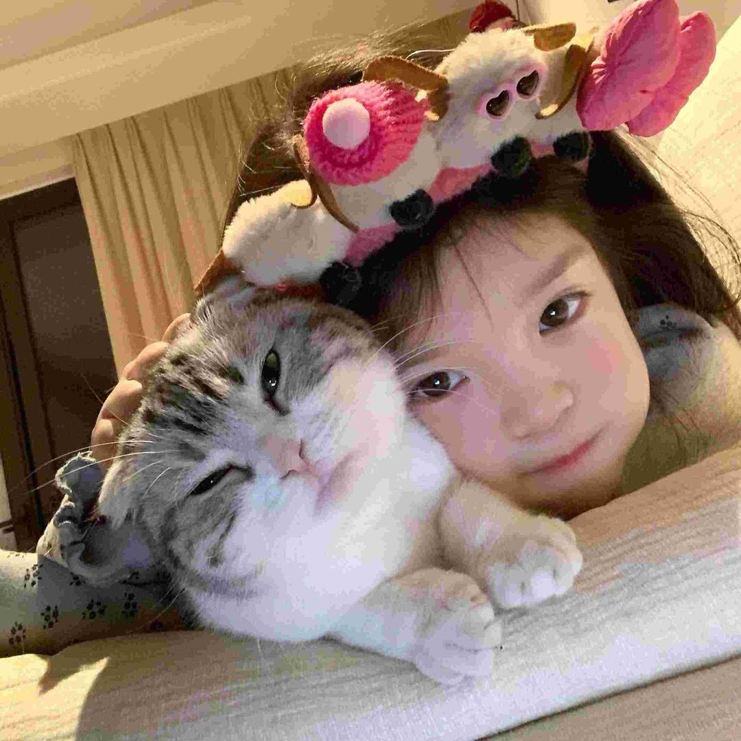 没诚意