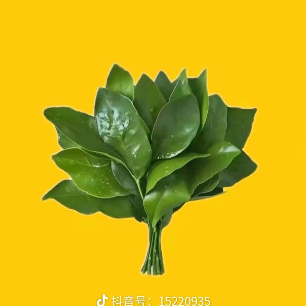 别管我了.