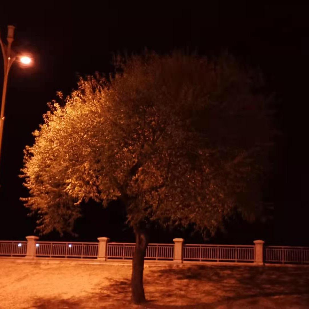 拉拉