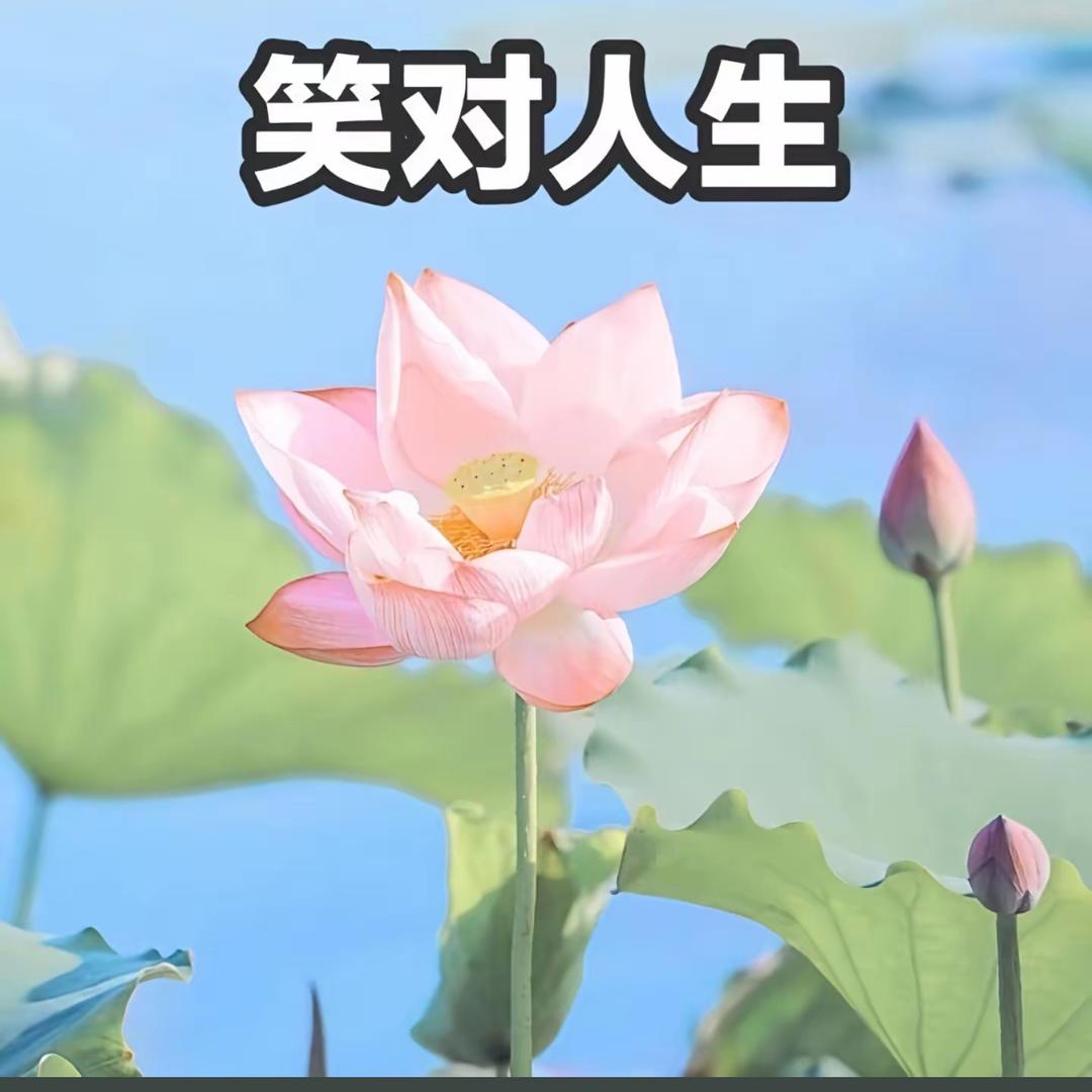 嗨