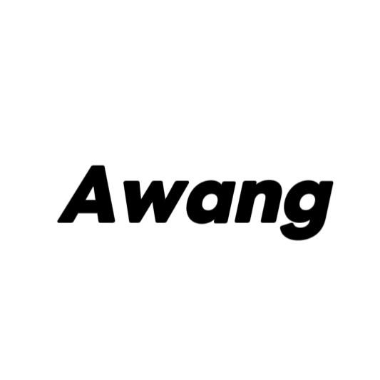 Awang温州鞋王