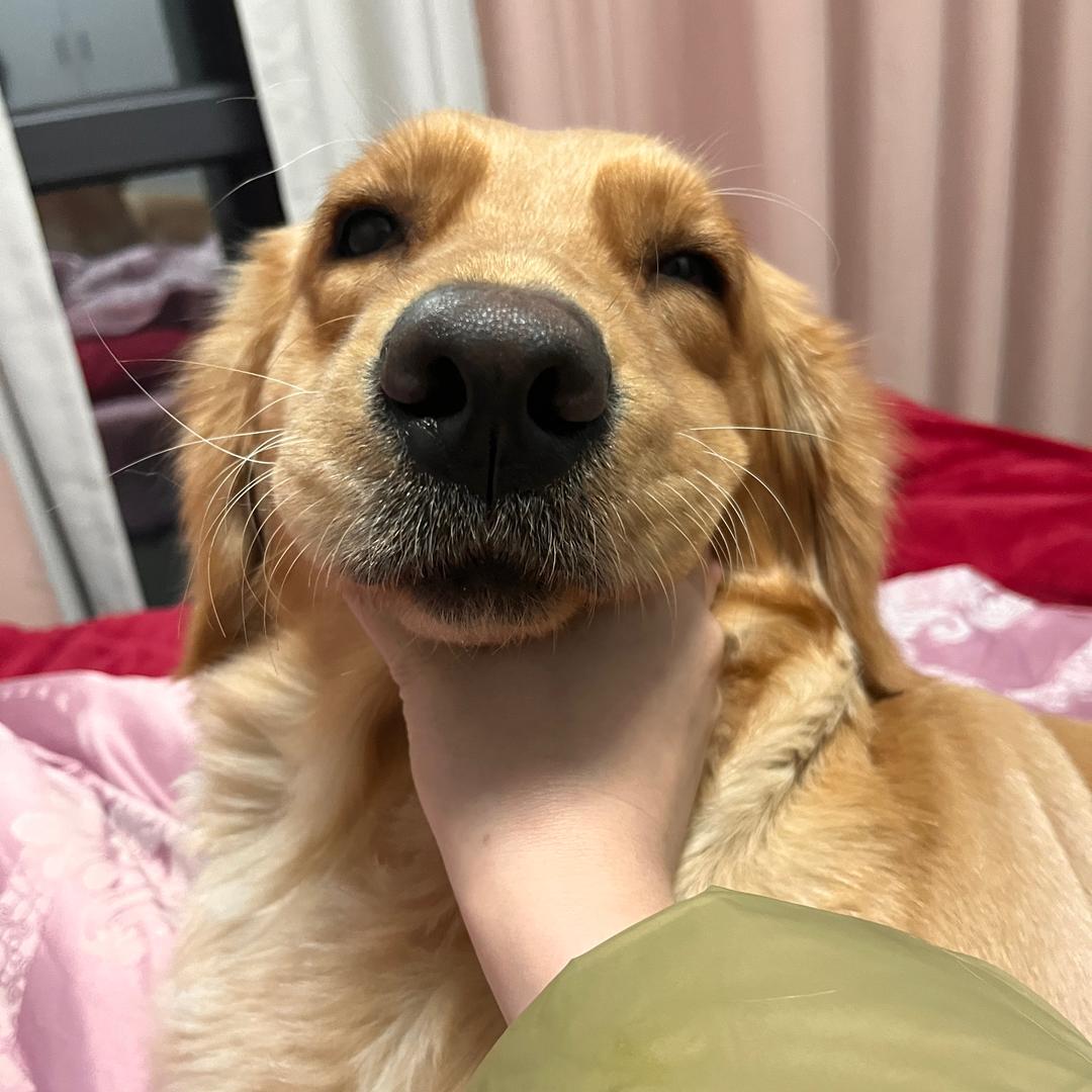 清玥超级乖