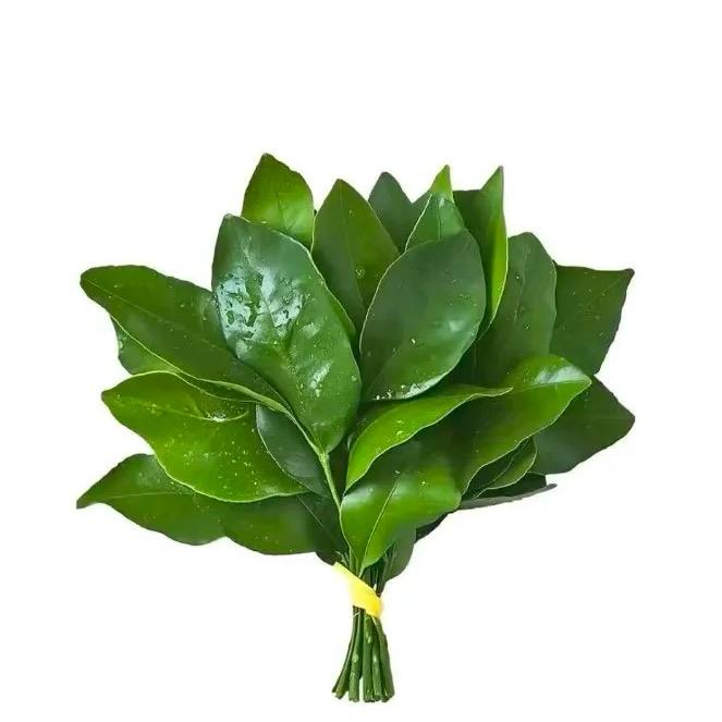 好饿的薯条