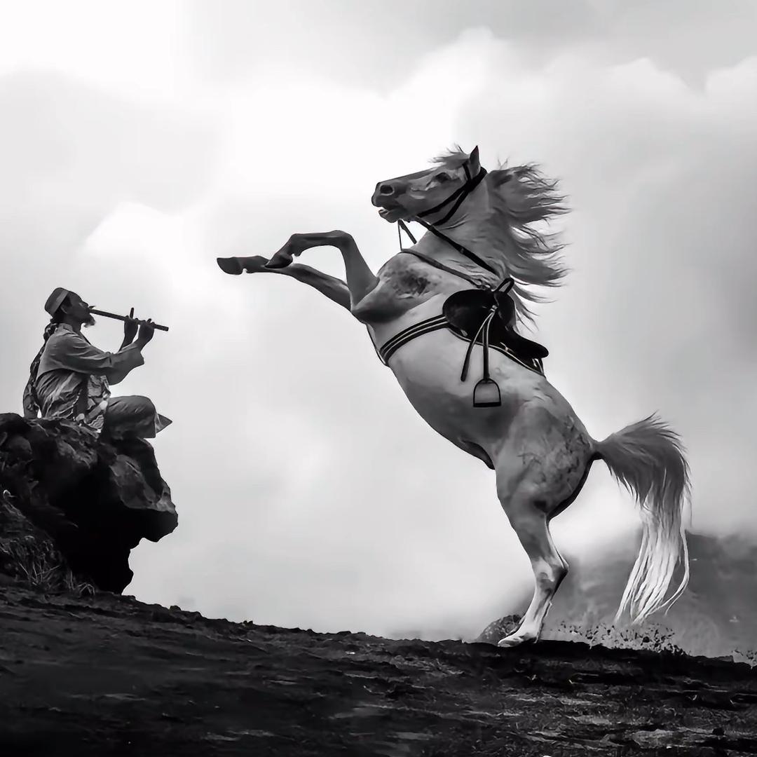 毛家湾车神黄哥