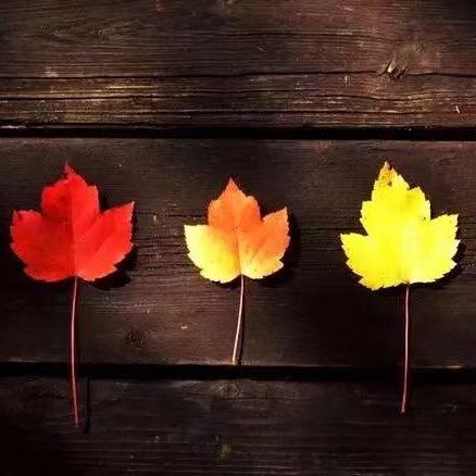 快乐✧٩(ˊωˋ*)و✧