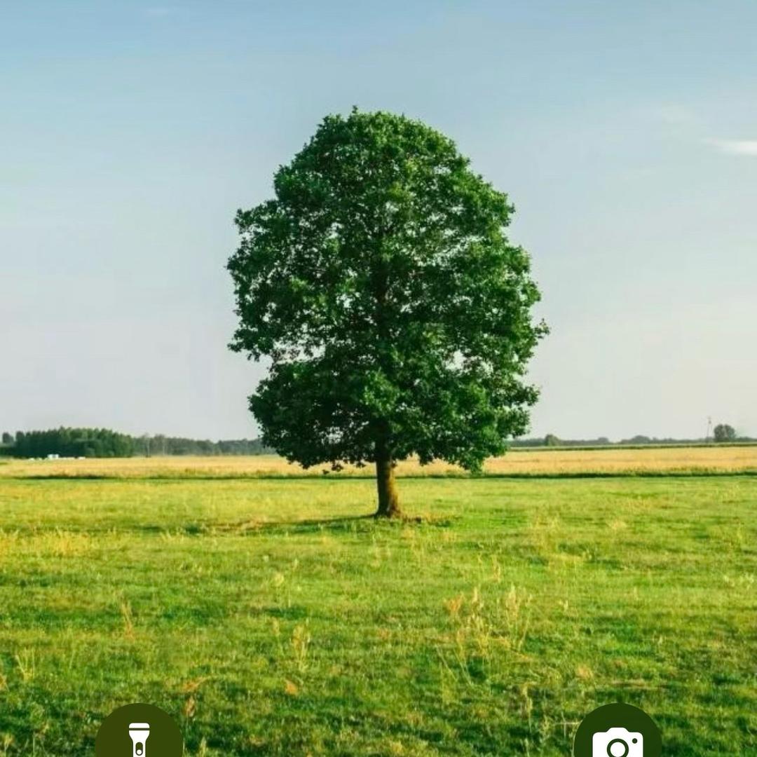 一壶两友⁹⁹⁹⁹