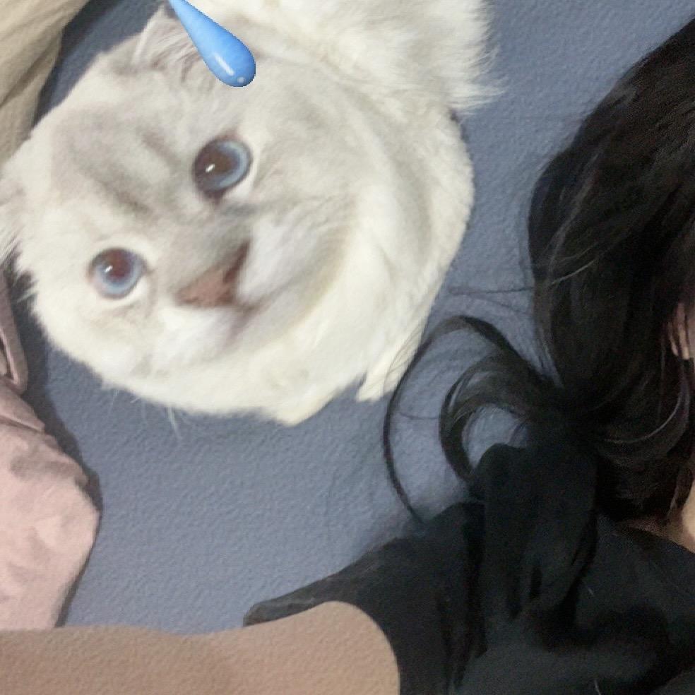 全世界最忙的男人