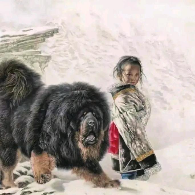 ༄རེ་བ།🌈🐕🐕‍🦺🦮