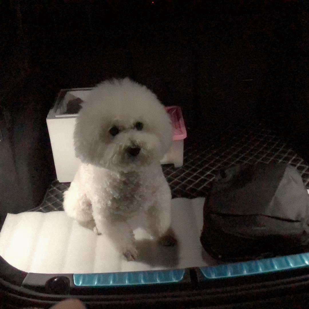 乖当子姐姐🐾