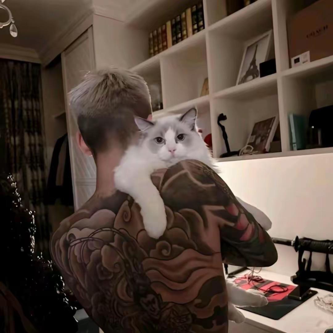 MXT·寸རིང།🐺