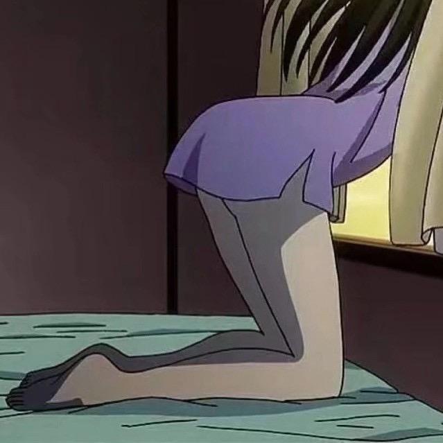 南猫