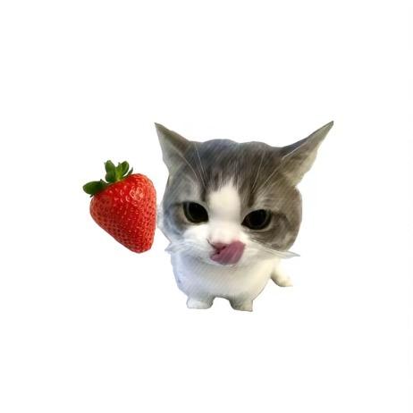 小苦瓜