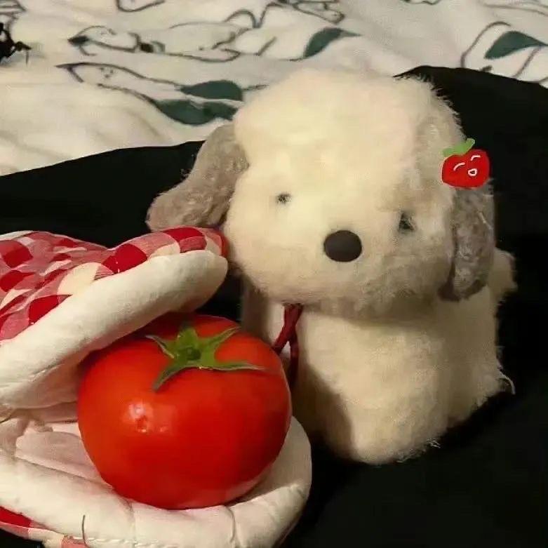 发财财uo