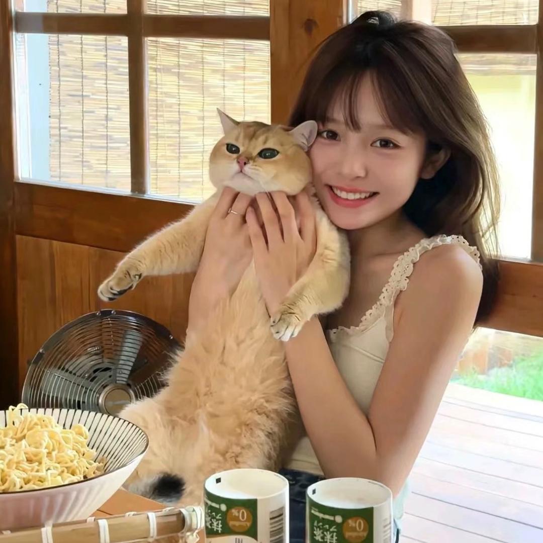 小羊的车旅日记@抖音