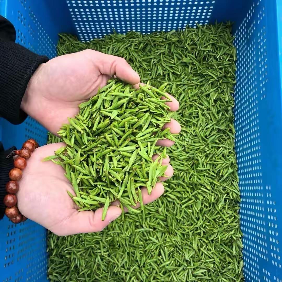 松阳茶蜜园茶叶
