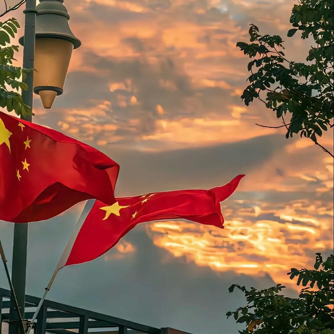 🇨🇳泽野