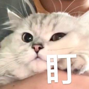 能虫虫