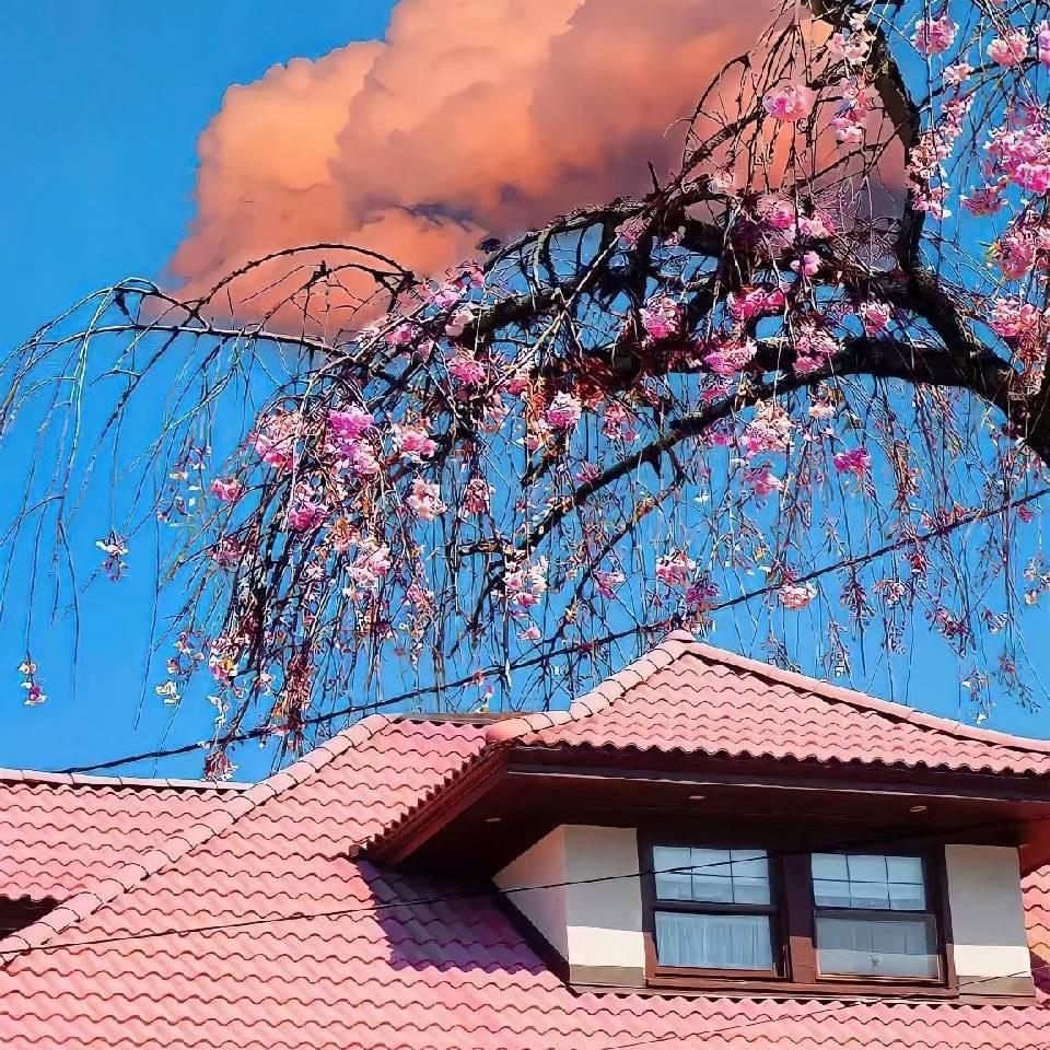 周小红