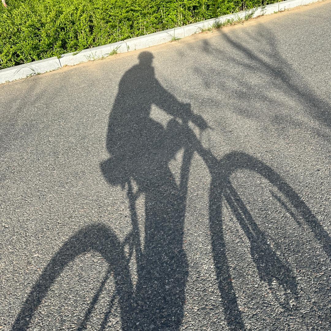 🚵🏻‍♂️胖子骑单车🚲